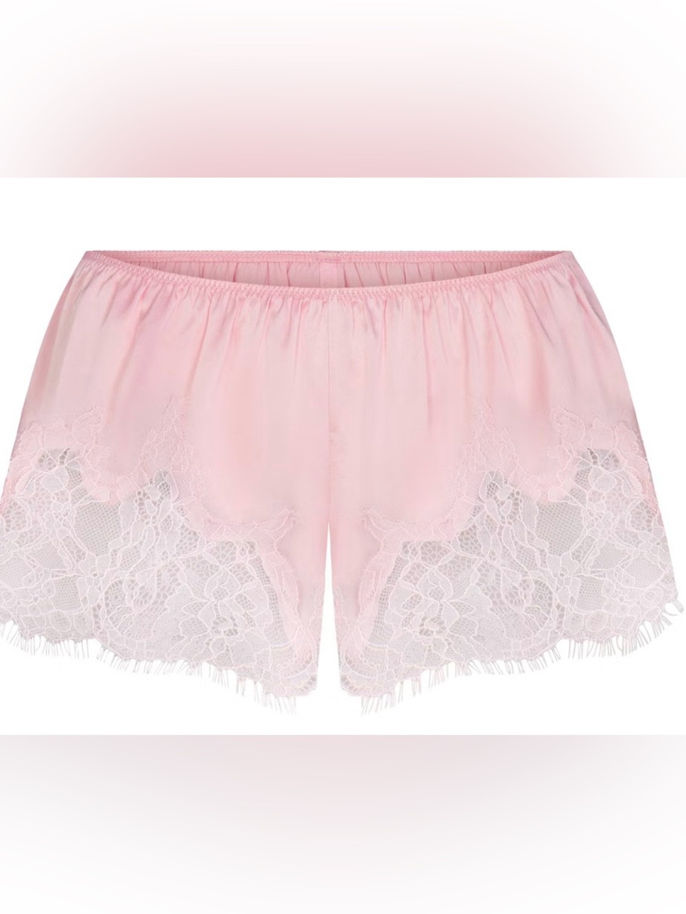 Nwt Skims silk lace shorts size xxl